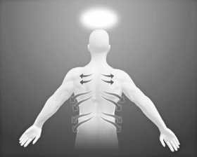 Strijk langs de zenuwbanen die zich van de ruggengraat aftakken en helemaal naar de voorkant van het lichaam lopen.